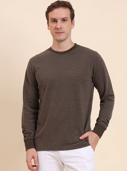 Olive Brown Striped Slim Fit T-Shirt