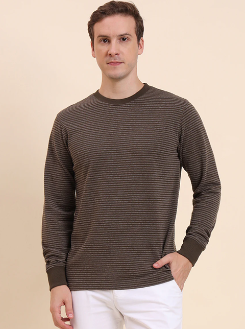 Olive Brown Striped Slim Fit T-Shirt