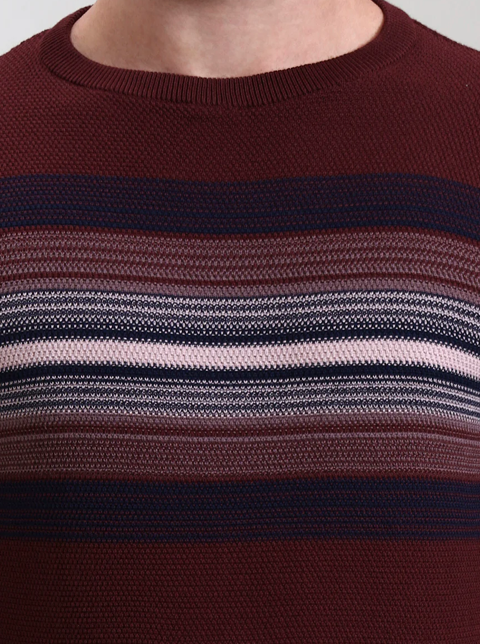 Wine Striped Slim Fit T-Shirt