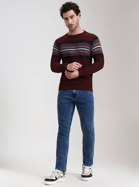 Wine Striped Slim Fit T-Shirt