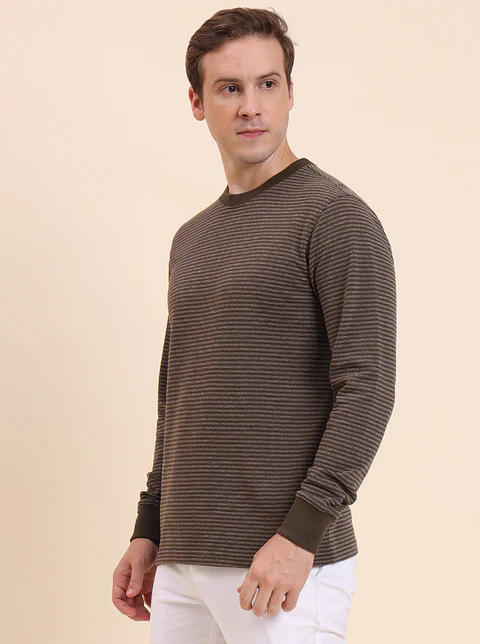 Olive Brown Striped Slim Fit T-Shirt