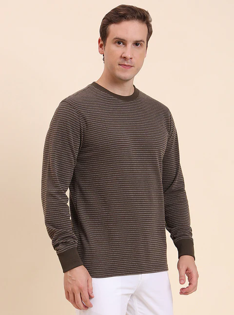 Olive Brown Striped Slim Fit T-Shirt