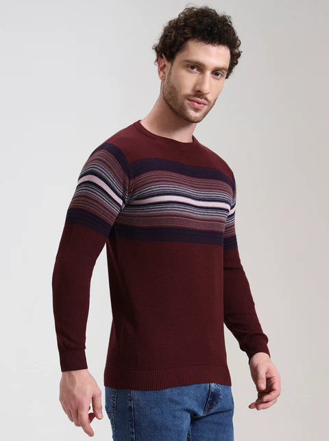 Wine Striped Slim Fit T-Shirt