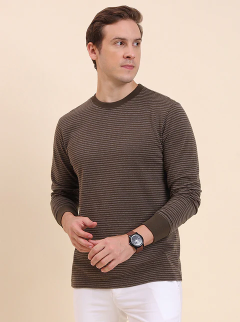 Olive Brown Striped Slim Fit T-Shirt